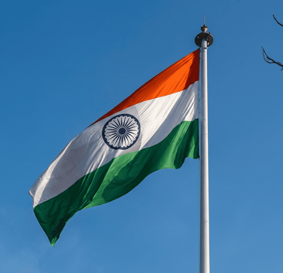 Flag Mast System